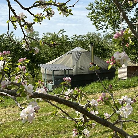 Dragon Orchard Retreat Villa Ledbury Bagian luar foto