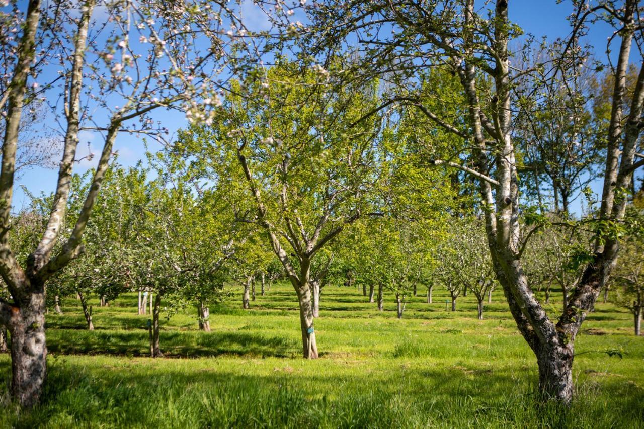 Dragon Orchard Retreat Villa Ledbury Bagian luar foto