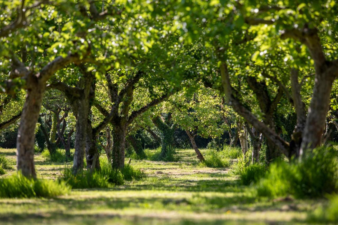 Dragon Orchard Retreat Villa Ledbury Bagian luar foto