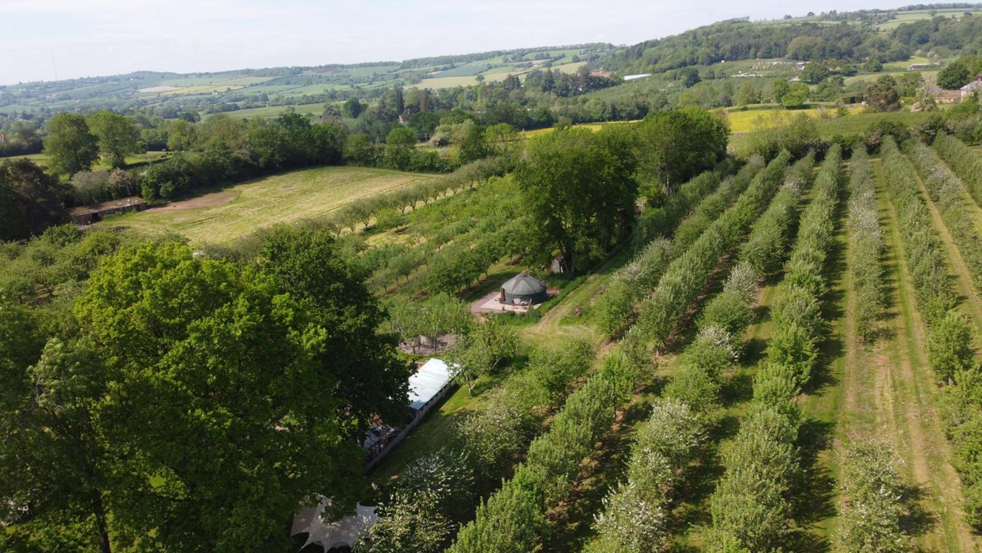 Dragon Orchard Retreat Villa Ledbury Bagian luar foto
