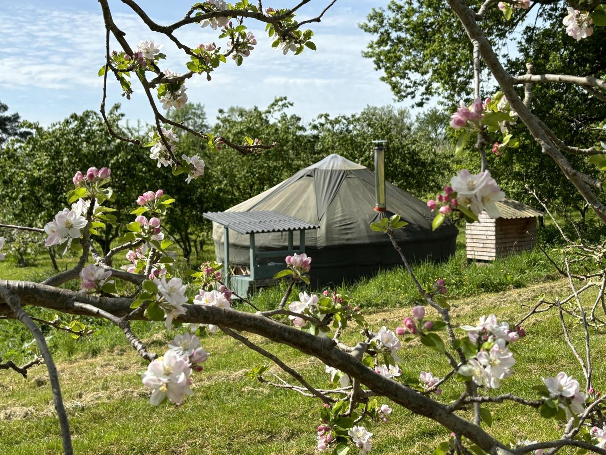 Dragon Orchard Retreat Villa Ledbury Bagian luar foto